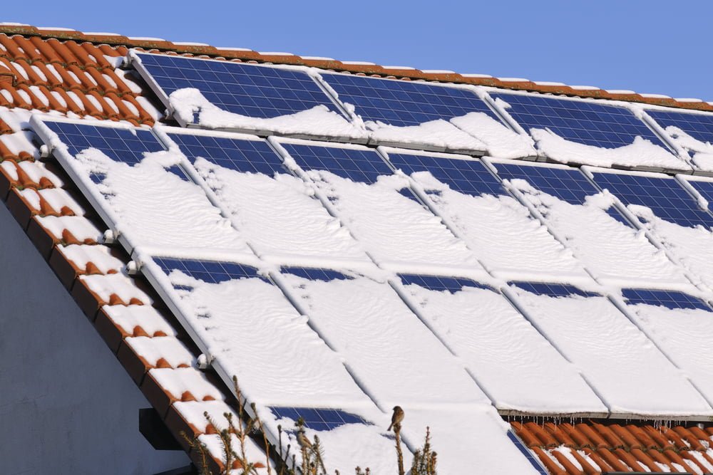 Solar Panel Maintenance: Everything You Should Know